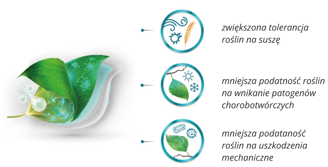 OPTYSIL® - to wsparcie naturalnej odporności roślin